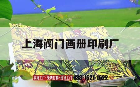 上海閥門畫冊印刷廠｜上海閥門設(shè)計比較好的公司